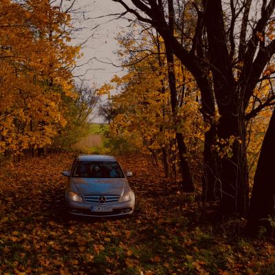 Wyrnienie Ksawery Strzelecki 1tme Mercedes Benz C180