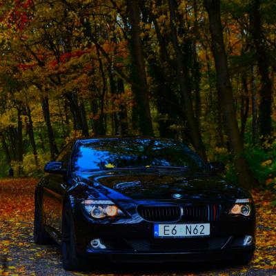 Wyrnienie Nikola Kierozalska 1msm Bmw 650i